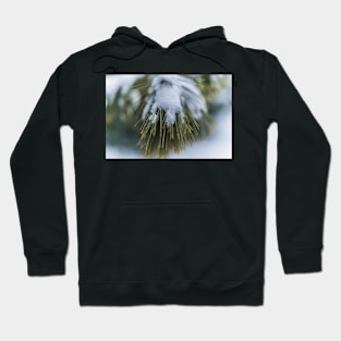 Christmas Pine 2 Hoodie